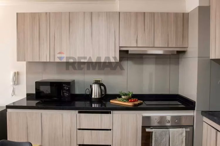 Dpto tipo loft en metro santa ana