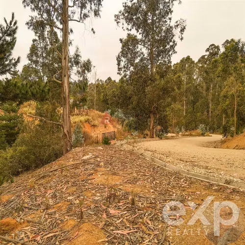 Venta parcela Fundo El Batro, camino a Quintay