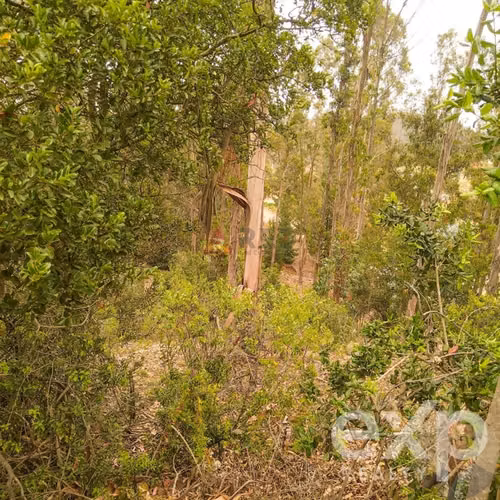 Venta parcela Fundo El Batro, camino a Quintay