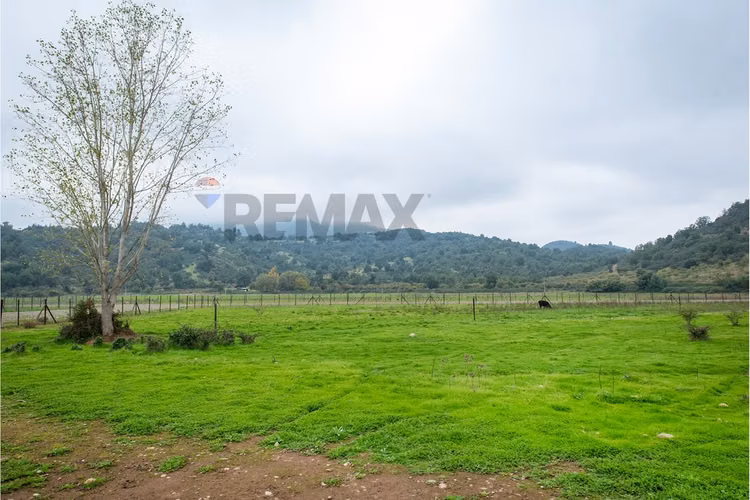 Parcelas premium en quillayes de zapallar