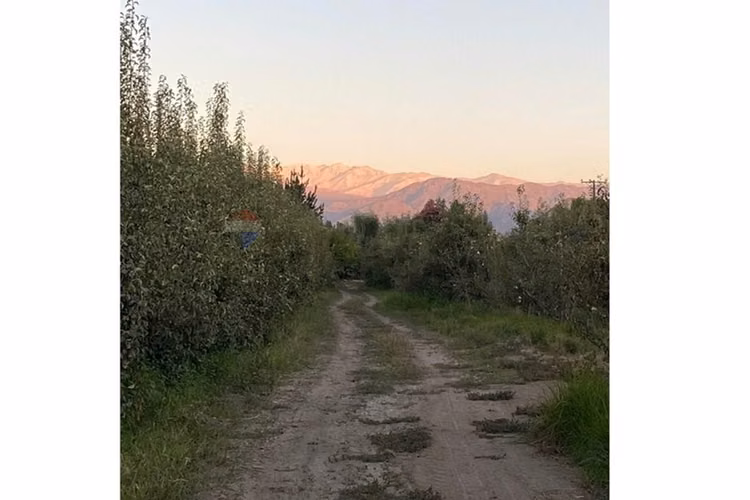 Parcelas en venta sector la punta - sin comisión