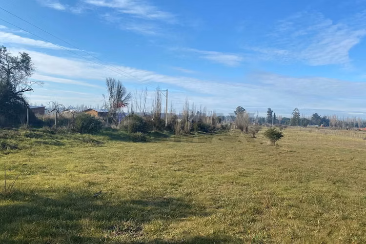 Parcela en paso hondo, límite yumbel y quillón - Imagen 9