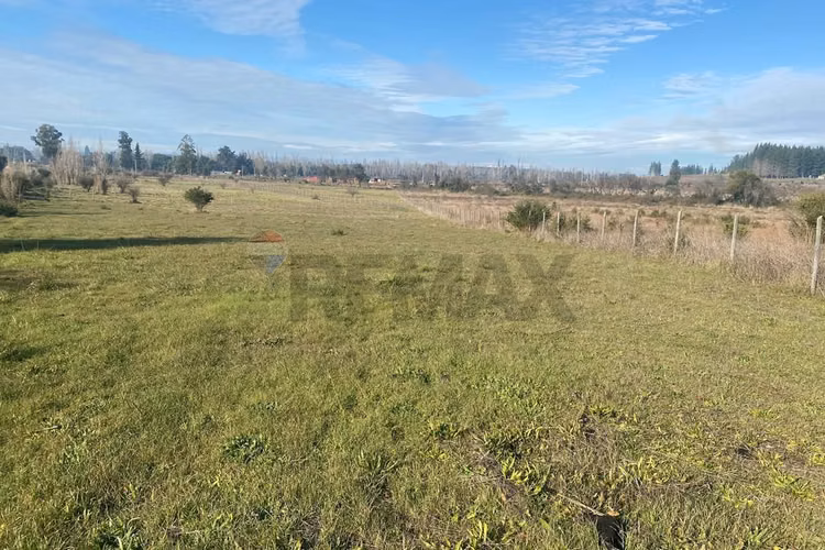 "parcela  5.000 mts, límite yumbel y quillón