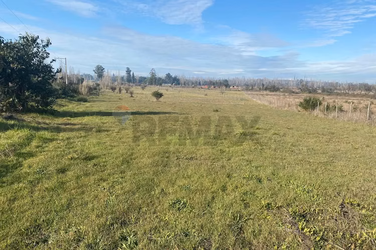 "parcela  5.000 mts, límite yumbel y quillón