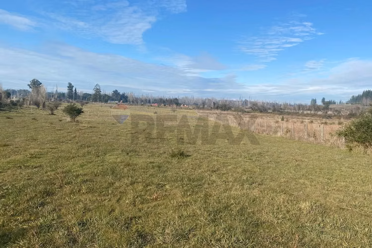 "parcela  5.000 mts, límite yumbel y quillón