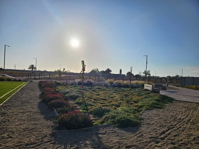 Venta De Sitio En Nueva Umbrales  (174761)