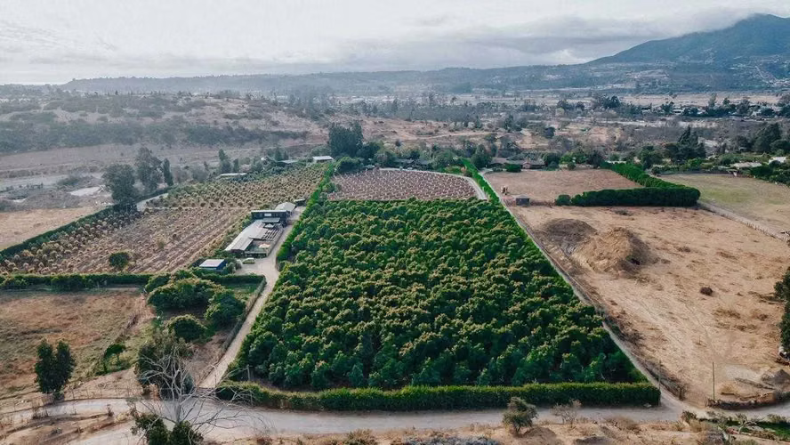 Parcela en venta en Limache (174799)