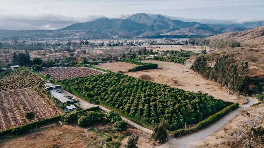 Parcela en venta en Limache (174799)