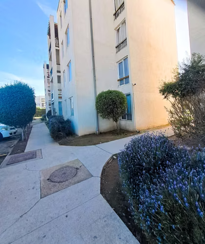 Departamento remodelado 3d 1b cercano al Faro  (174804)