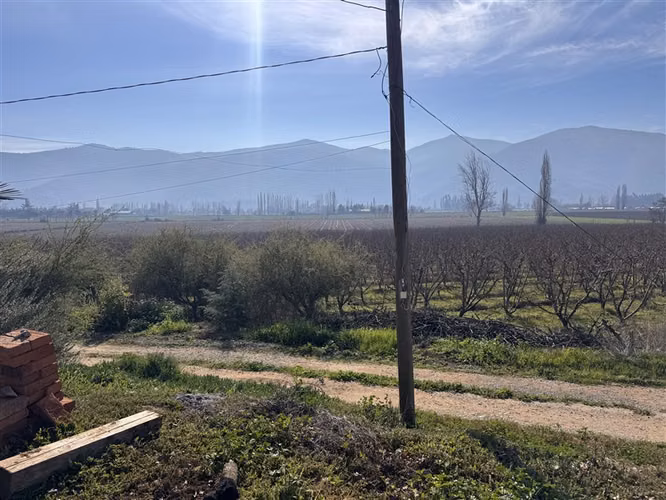 Terreno agrícola 6,3 Ha Nectarines en Producción y Casa