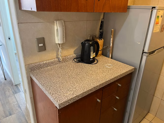 Arriendo dpto 1D-1B / Santa Lucia
