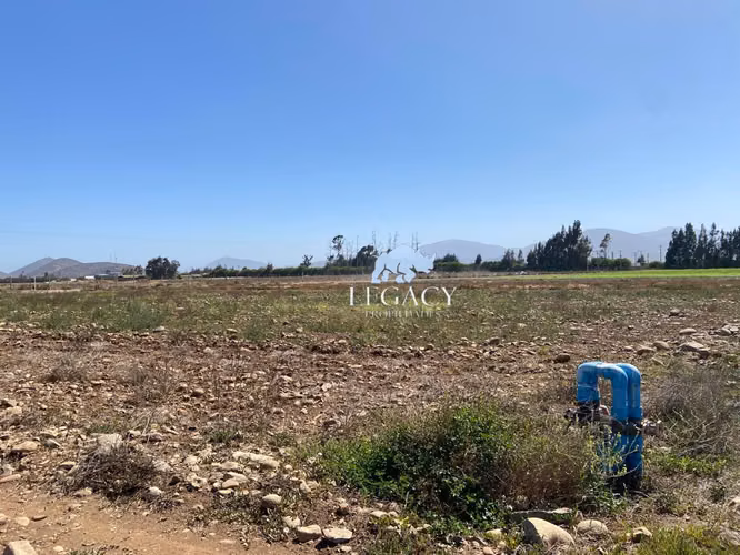 Sector bodegas Megacentro Pan de Azúcar