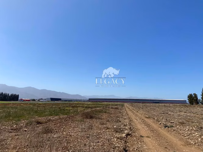 Sector bodegas Megacentro Pan de Azúcar