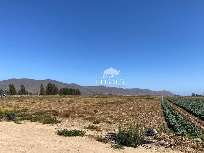Sector bodegas Megacentro Pan de Azúcar