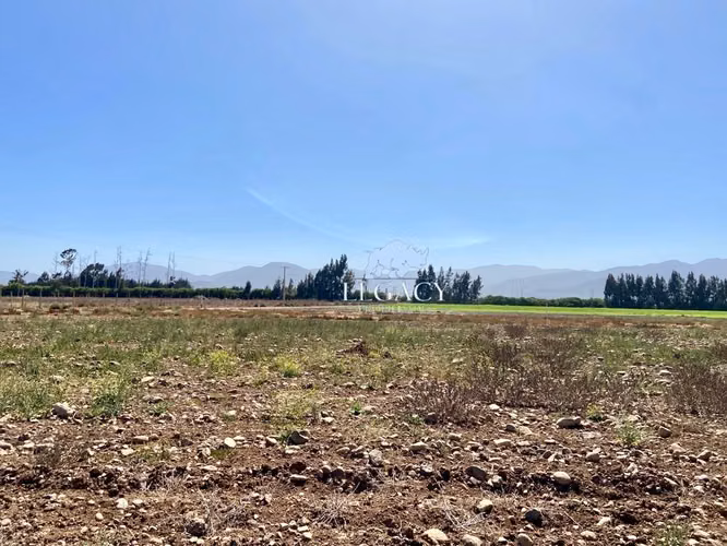 Sector bodegas Megacentro Pan de Azúcar