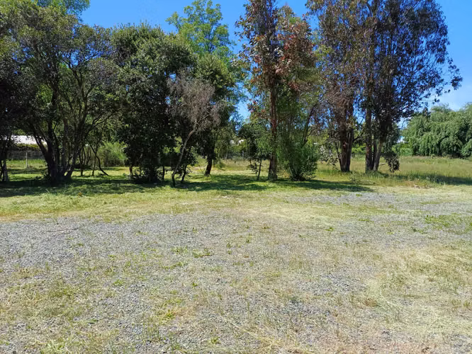 VENDE Parcela con Cabaña en Salto de Laja (174863) - Imagen 21