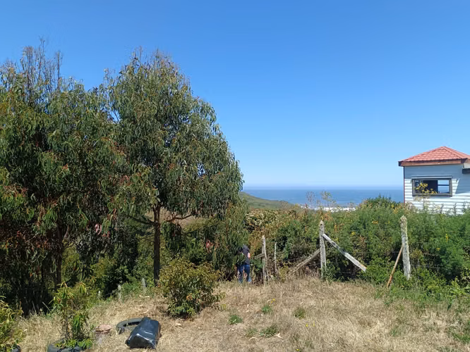 VENTA SITIO PUERTO SAAVEDRA