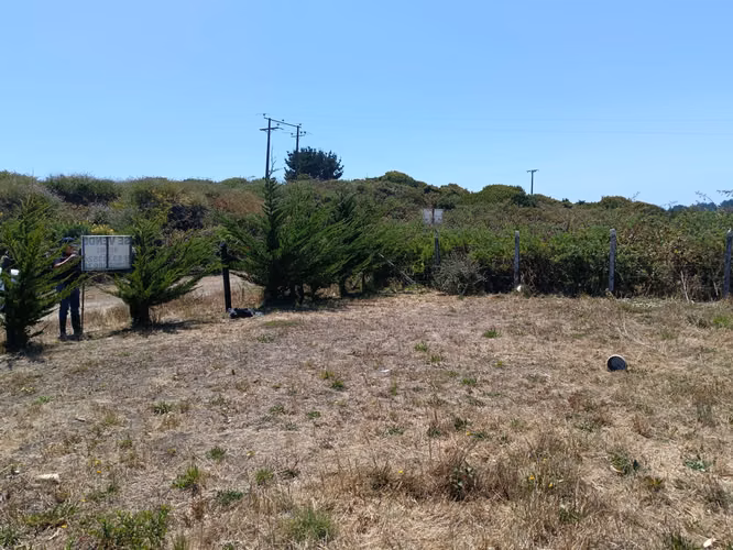 VENTA SITIO PUERTO SAAVEDRA