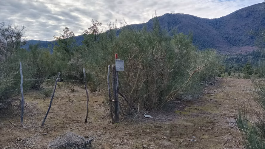 Parcela de Agrado con acceso privado en Villa Los Canelos, Antuco