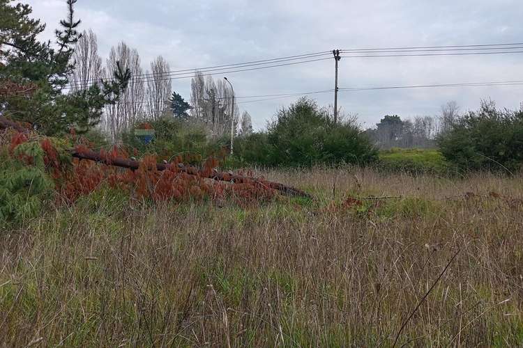Gran oportunidad de venta en cabrales - Imagen 18