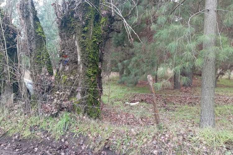 Gran oportunidad de venta en cabrales - Imagen 37