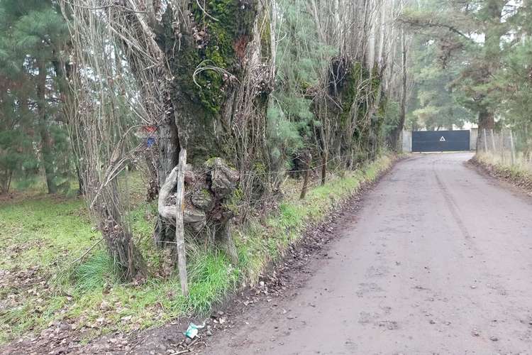 Gran oportunidad de venta en cabrales - Imagen 31