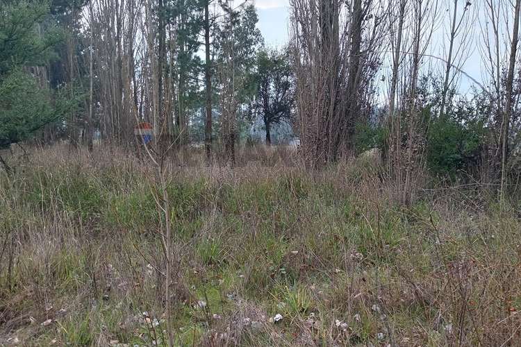 Gran oportunidad de venta en cabrales - Imagen 10