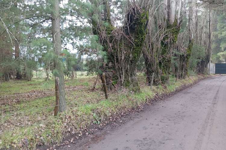 Gran oportunidad de venta en cabrales - Imagen 33