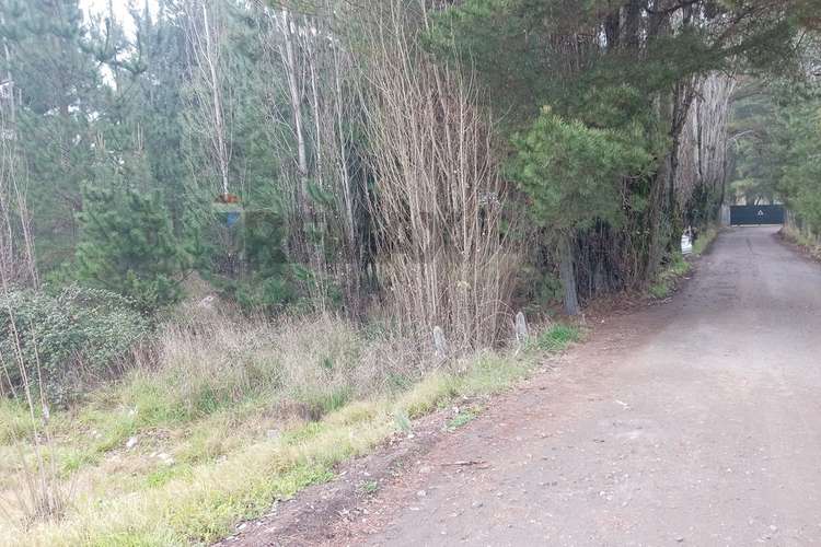 Gran oportunidad de venta en cabrales - Imagen 28