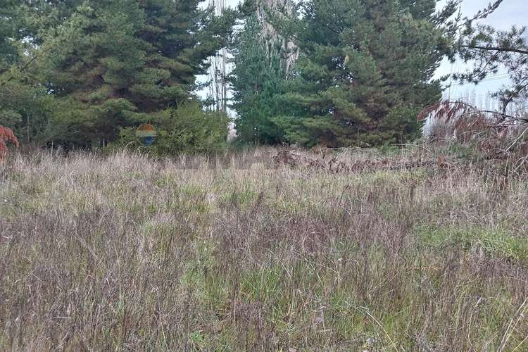 Gran oportunidad de venta en cabrales - Imagen 19