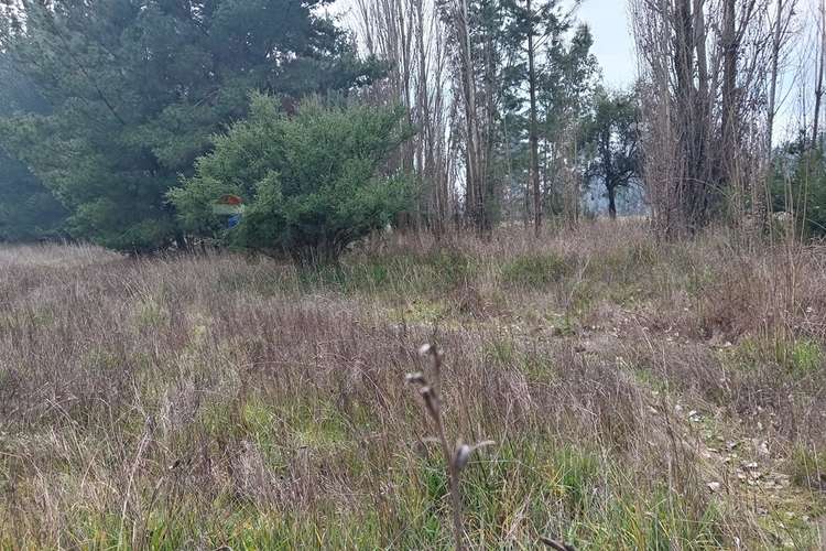 Gran oportunidad de venta en cabrales - Imagen 9