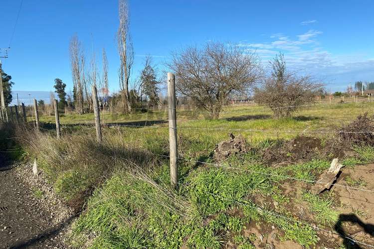 Parcela  en paso hondo, límite yumbel y quillón