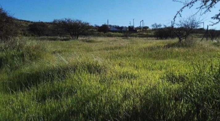 Parcela VENTA TERRENO FUNDO LAS ENCINAS LLAY LLAY