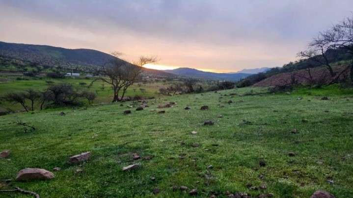 Parcela VENTA TERRENO FUNDO LAS ENCINAS LLAY LLAY
