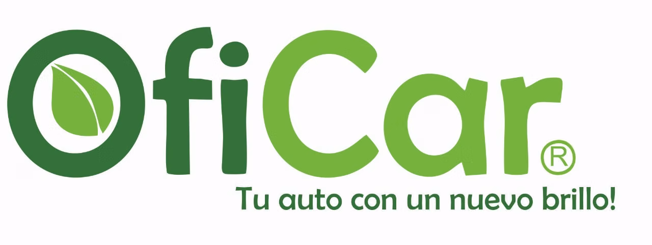Especialista en Limpieza de autos ecológica y Detailing Automotriz – Las Condes