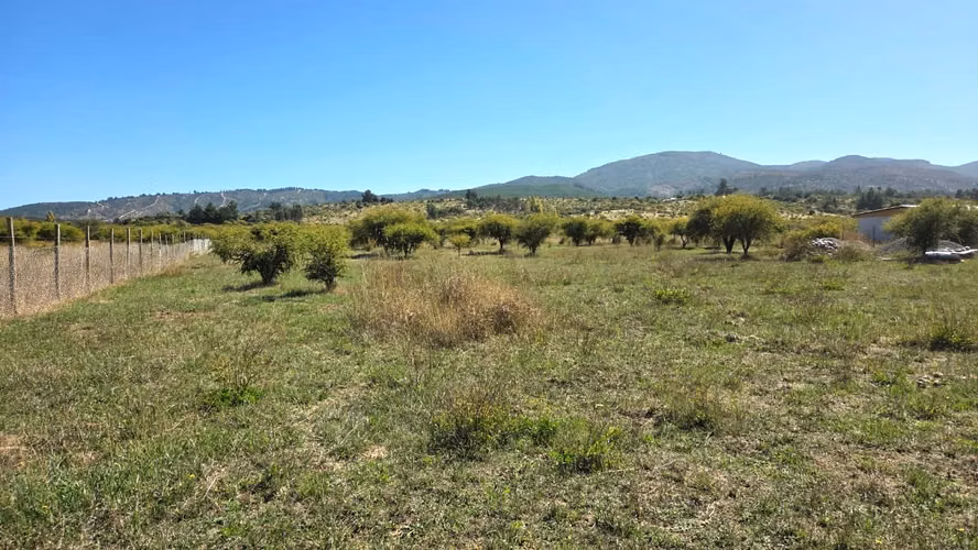 Parcela en Loteo Santa María de Mingre Venta San Javier
