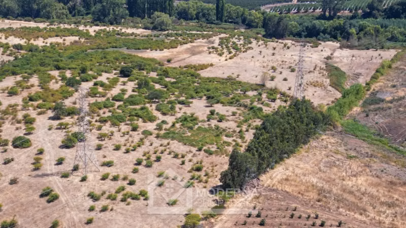 Agrícola en arriendo a largo plazo en Pelarco