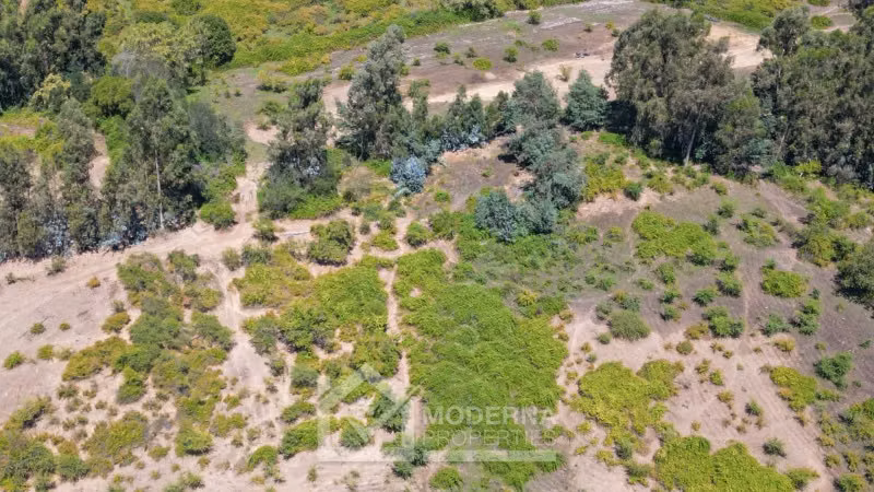 Agrícola en arriendo a largo plazo en Pelarco