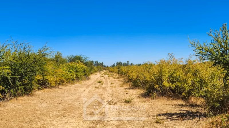 Agrícola en arriendo a largo plazo en Pelarco