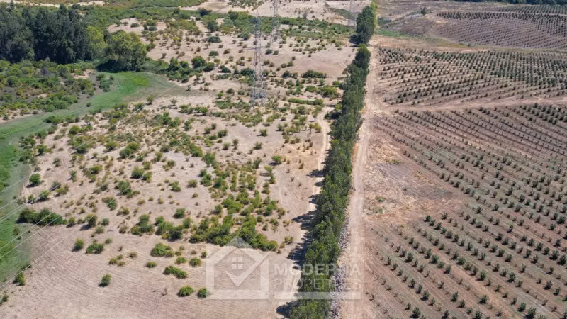 Agrícola en arriendo a largo plazo en Pelarco