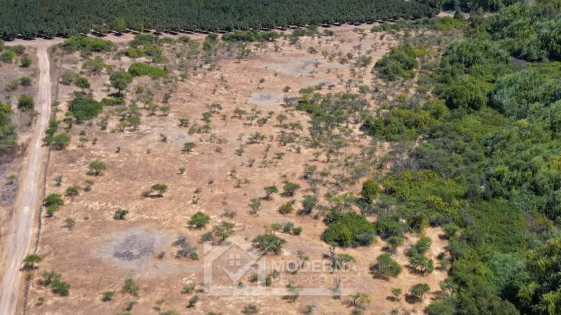 Agrícola en arriendo a largo plazo en Pelarco