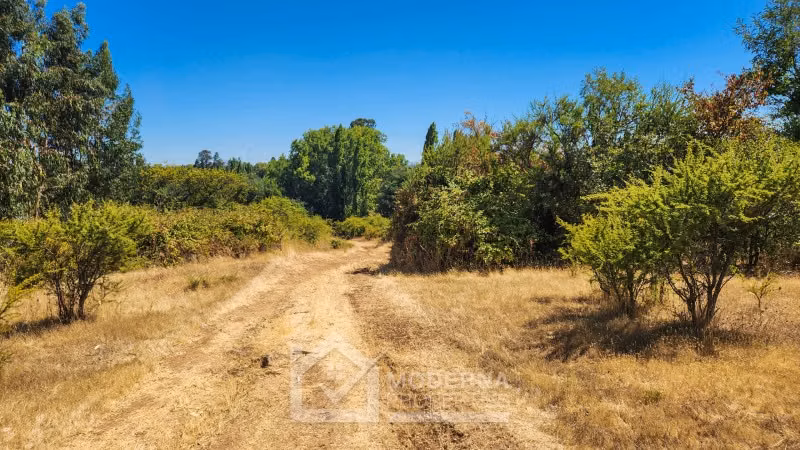 Agrícola en arriendo a largo plazo en Pelarco