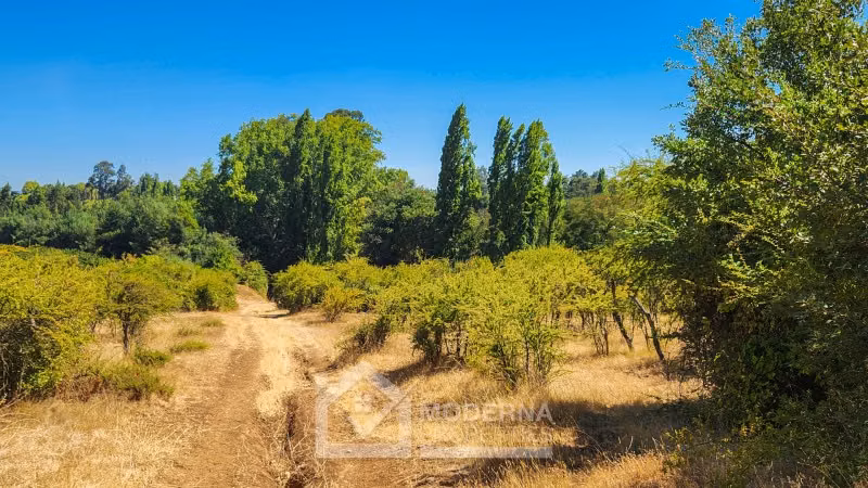 Agrícola en arriendo a largo plazo en Pelarco