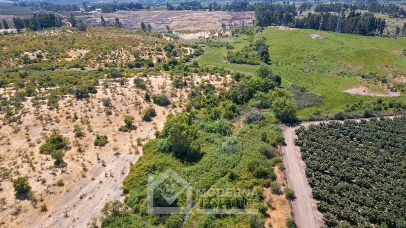 Agrícola en arriendo a largo plazo en Pelarco