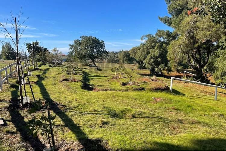 "oasis rural en yumbel: sueño de campo moderno"