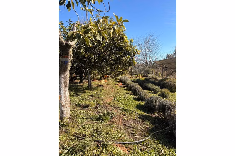 Vendo parcela sustentable - quillon - Imagen 20