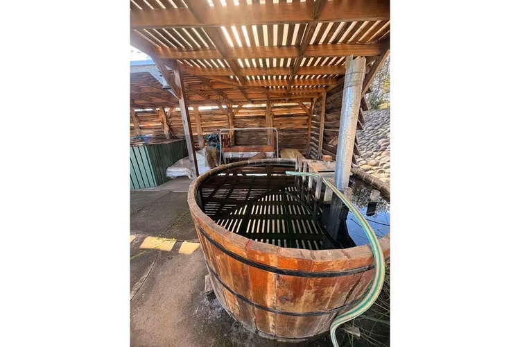 Vendo parcela sustentable - quillon - Imagen 40