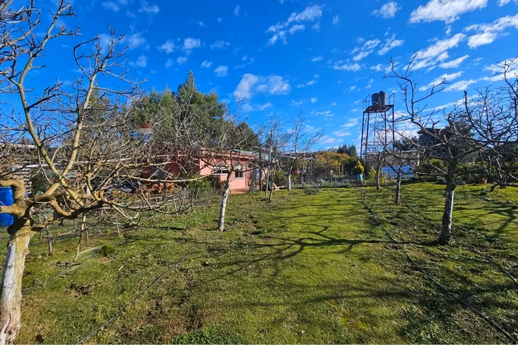 Vendo parcela sustentable - quillon - Imagen 15