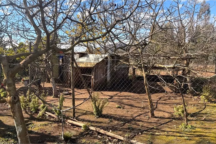 Vendo parcela sustentable - quillon - Imagen 35