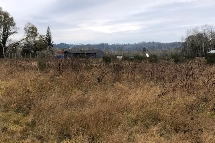 Venta parcela 5000 mts, en villarrica